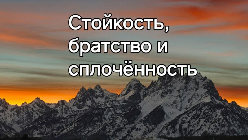 Стойкость, братство и сплочённость